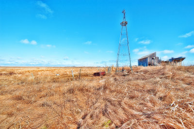 Spring Davidson SK