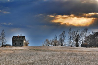 Spring  Waldron SK.