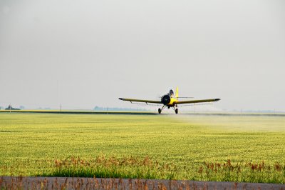 Spring  Crop dusting Near Pense SK.