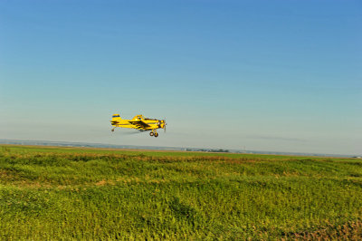 Summer Crop Dusting  Drinkwater SK.