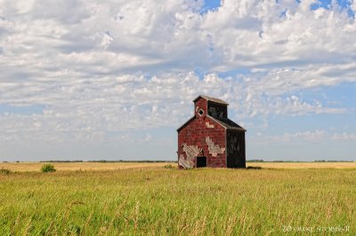 On a Private Farm North of Antler SK. Aug 2009