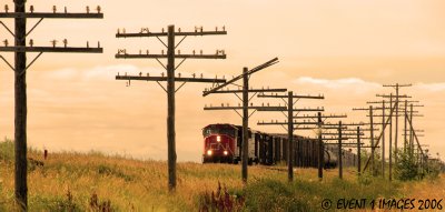 g4/48/623048/3/64700053.ojWlpOSG.jpg