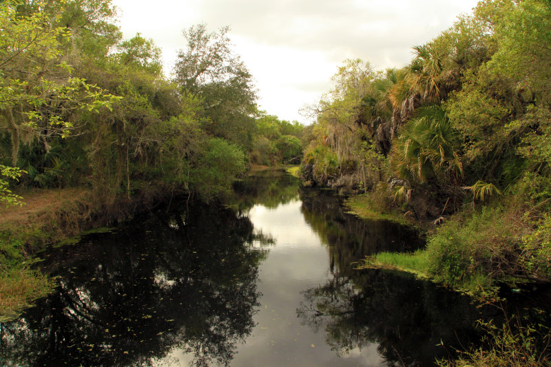 Myakka River State Park