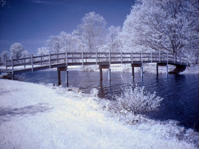 Lake Loramie Art Co-OP Setting