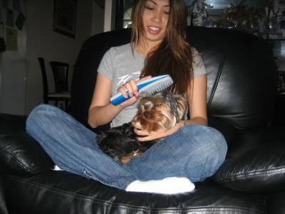 esther and cookie the yorkie