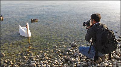Shooting swan