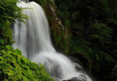 Triberg Waterfalls 01