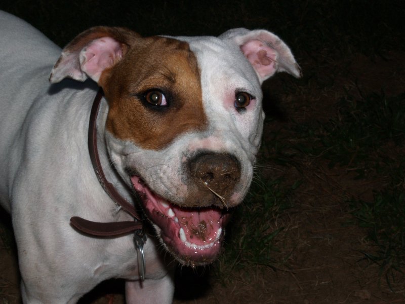Pearl the Beautiful Girl