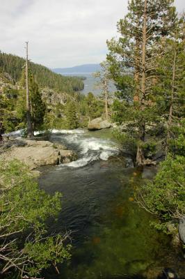 DSC_1075.JPG