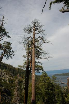 Emerald Bay