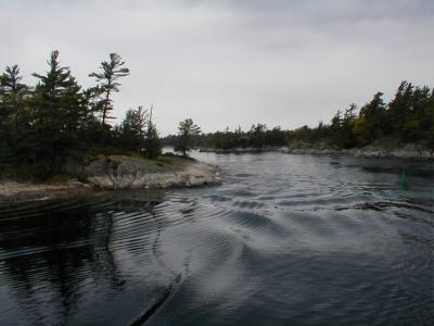 P1010085.JPG