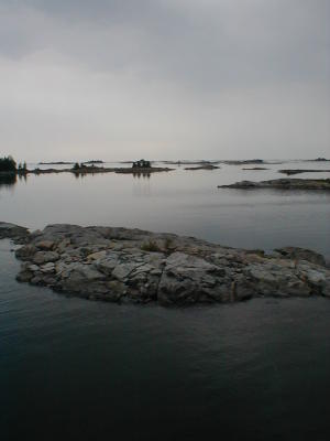 P1010096.JPG
