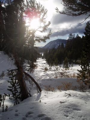 Mount Rose Meadows