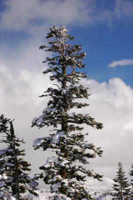 Castle Peak