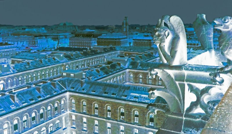 Gargoyles on Notre Dame Cathedral, watching over Paris, France