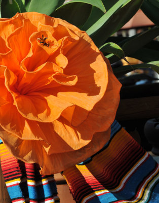 Lovely paper flower arrrangement