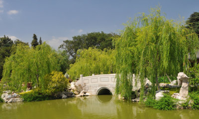 Bridge in lagoon