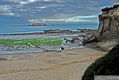 Distant View of Devil's Punchbowl, from Otter Crest  Inn.