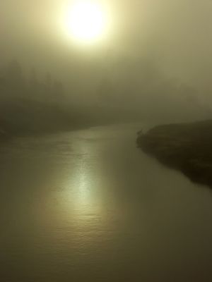 Sun rising in the fog; Yellowstone Park, WY.
