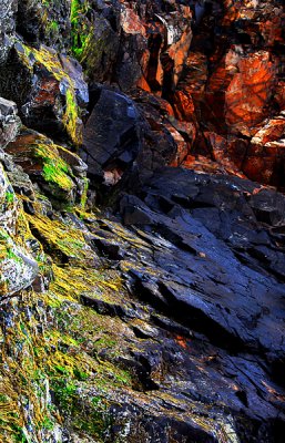 The Colors of Nature.  Hug Point State Park, near Cannon Beach