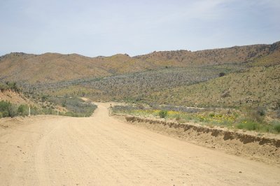 wilflower road