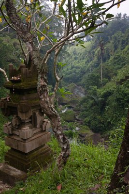 Balinese Landscapes