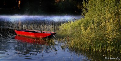 The RED BOAT