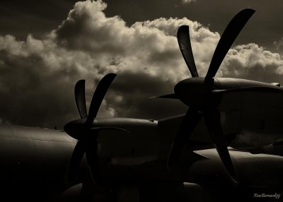 LOCKHEED HERCULES C130