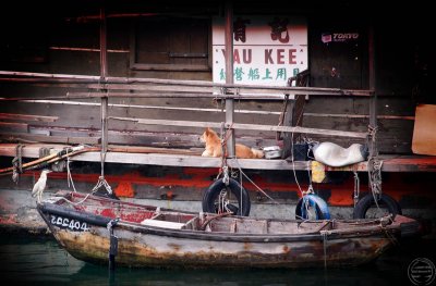 VICTORIA HARBOR 10.The Heron,the Dog and the Boats
