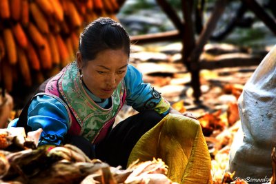 Ethnic Cultural Park.Harvest of the Corn II