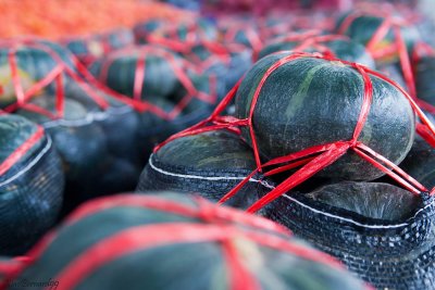 SHOUGUANG.The Vegetable Market the biggest of China IV