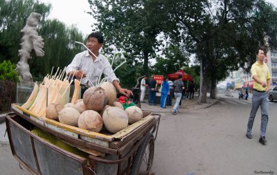 JINAN.Coconuts Seller