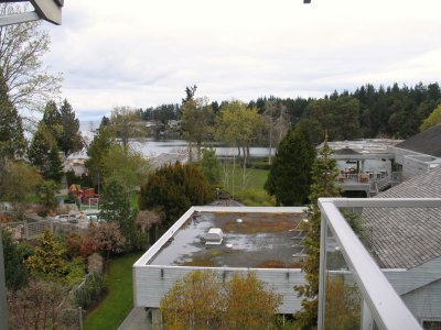 IMG_6341.JPG