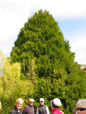 IMG_6379.JPG