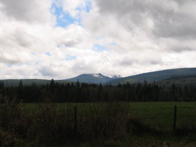 IMG_6408.JPG