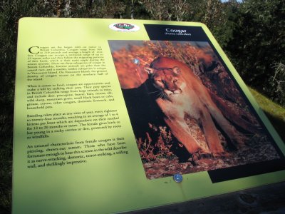 IMG_6471.JPG