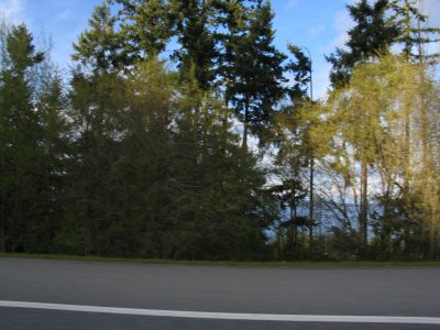 IMG_6499.JPG