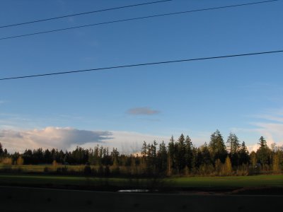 IMG_6501.JPG