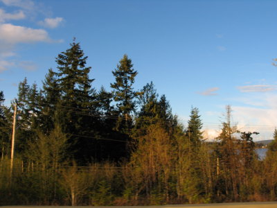 IMG_6506.JPG