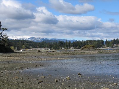 IMG_6529.JPG