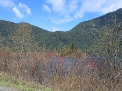 IMG_6538.JPG