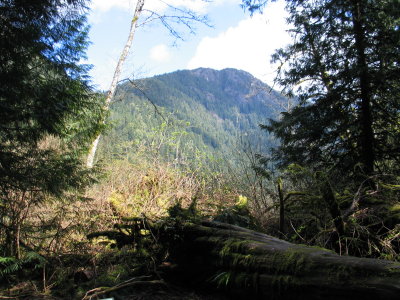 IMG_6557.JPG
