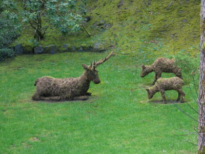 IMG_6605.JPG