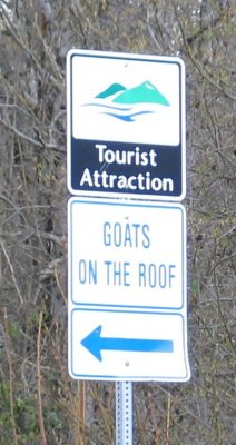 IMG_6387.5.JPG