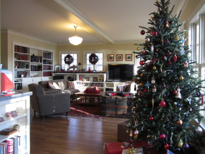 2011 Christmas Decorations