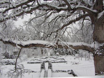 View of back garden after snow storm from upstairs back deck