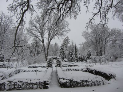 View of back garden after snow storm from upstairs back deck