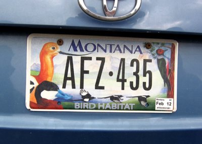 LoganPassPlate-PE2071511.jpg