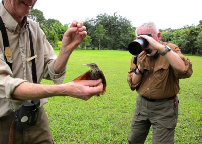 Leif holding Ivory-billed Woodcreeper w/ Phil on the camera.