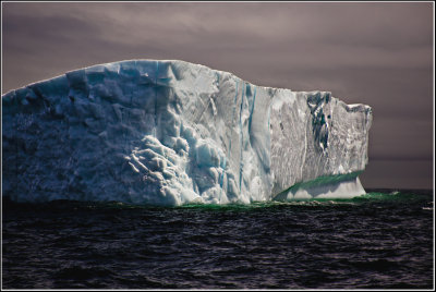 Iceberg